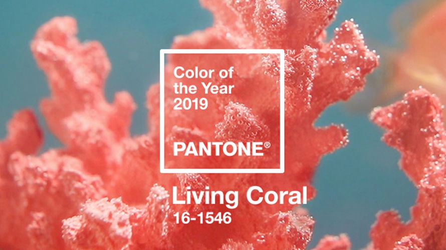 pantone coral color of the year